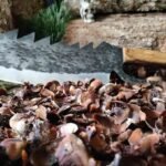Couteau Valhalla Cleaver Cuisine Profesionnel