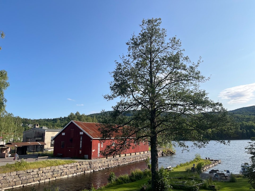 comment les vikings sortent de l'eau puy du fou
