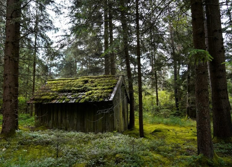comment s'appelle le paradis des vikings