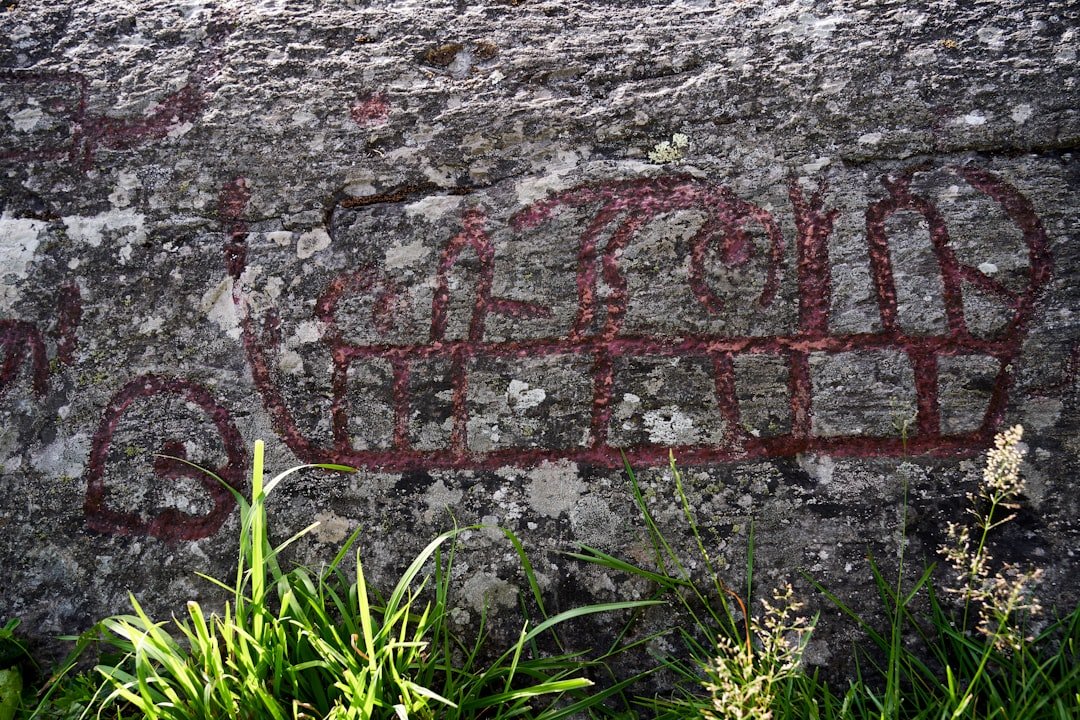 pourquoi les vikings ont ils envahi l'europe